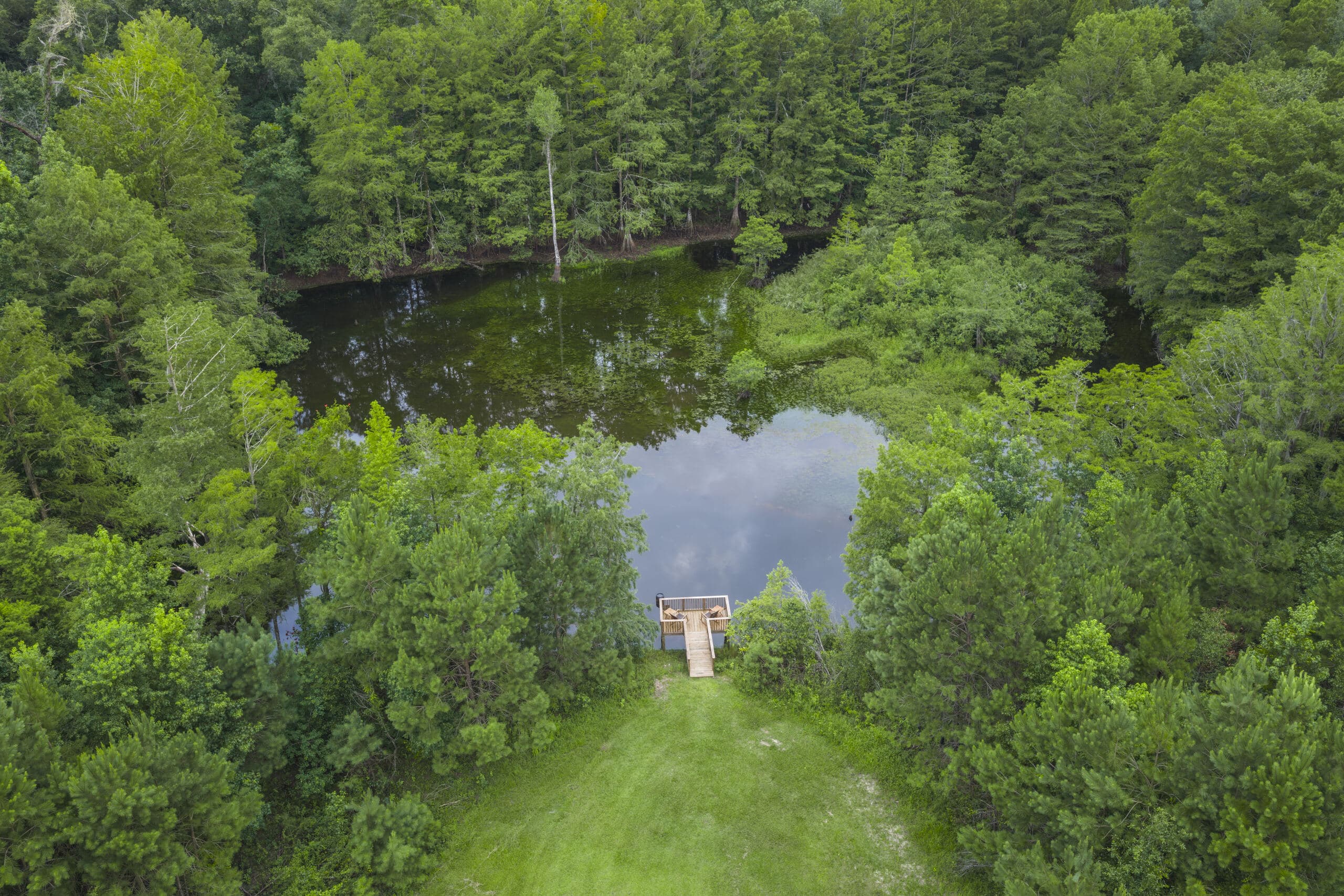 A dark pond held in a clearing of North Florida woods, from the air